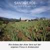 SantaVerde, Aloe Vera, Facial Toner Sensitive, 100 ml