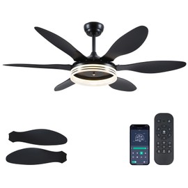 Ceiling Fans with Lights, Black Ceiling Fan with Light and Remote 3CCT Dimmable Light, 6 Blades, Reversible 6 Speeds Flush Mount Slope Ceiling Fan Modern Bedroom Living Room Indoor 51 inch