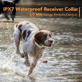 Unbranded 2in1 Dog Shock Collar Training w/ Remote 1/2 Mile IPX7 Waterproof Electric US