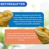 NUTRIARISE Reptile Vitamin A Supplement – Eye Health Support for