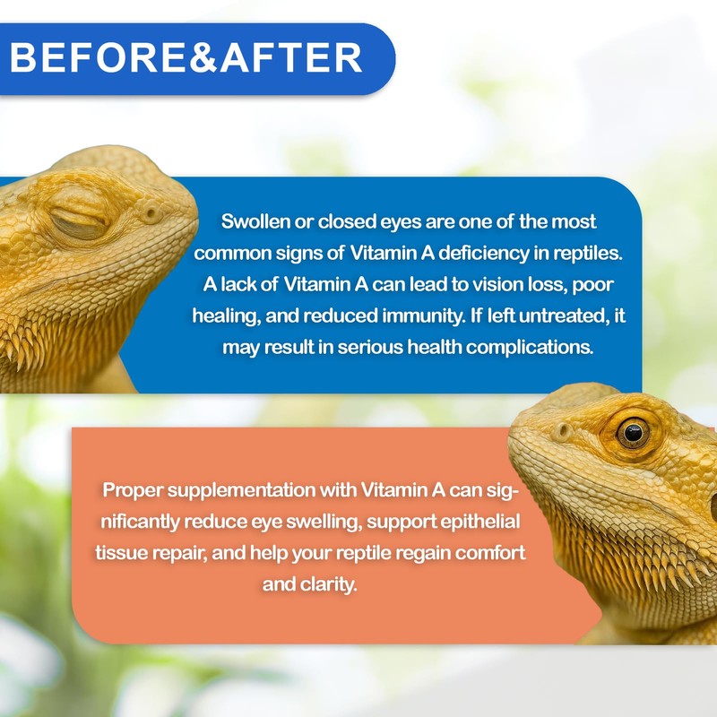 NUTRIARISE Reptile Vitamin A Supplement – Eye Health Support for