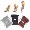 Luxja Dog Manners Belt, For Boys, Mesh, Waterproof, Stretchy, 3-Piece