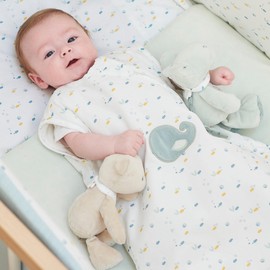 Nattou Mini Soft Toy Polyester Crocodile Romeo Integrated Rattle Approx 20cm Romeo, Jules and Sally Light Blue