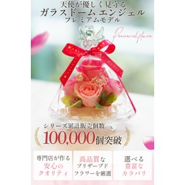 IPFA Preserved Flower Glass Dome Angel Premium (Pink/Thank You Model), Gift, Rose, Angel (Birthday, Wedding Gift, Retirement Gift, 60th Birthday), Flower Gift, Celebration