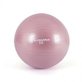 I Wanna Anti-Burst Pastel Gym Ball 55cm Wild Pink