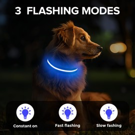 Led Dog Collar for Night Walking,Rechargeable Light Up Dog Collar Led Color,Glow in The Dark Dog Collars Waterproof for Small Medium Large Dogs (Blue, Small)