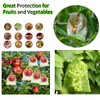 JMFANGLIU 60 PCS Fruit Protection Mesh Bags,6.69x9 Inch,Drawstring Reusable Netting