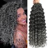 GoGo Curl Curly Crochet Hair for Women Water Wave Crochet