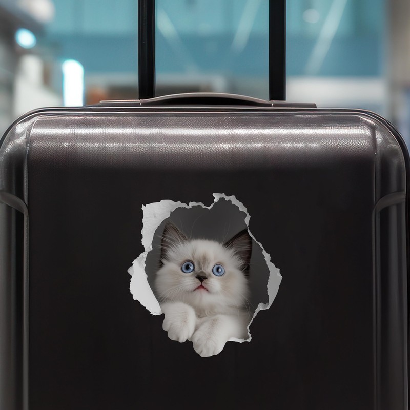 White Cat Decal - Wall Hole Sticker with 3D Effect