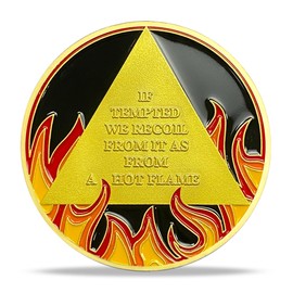 10 Year Sobriety Coin - Alcoholics Anonymous Flame Triangle AA Medallions and Sobriety Chips Recovery Coins with Display Case - Ideal Sobriety Gifts for Men & Women Celebrating AA and NA Recovery