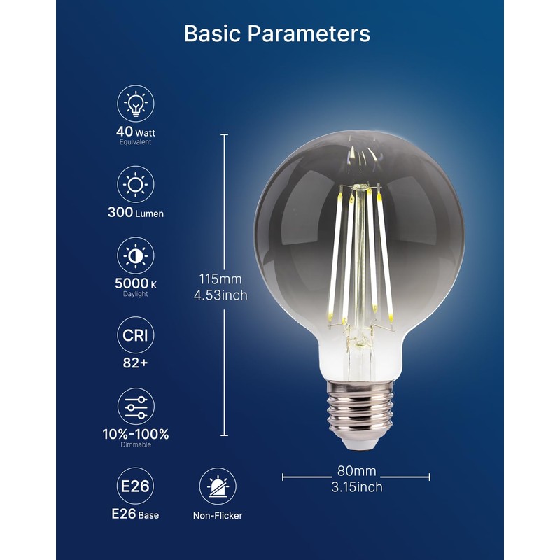FLSNT 6 Pack G25 LED Globe Edison Bulbs, 5000K Daylight