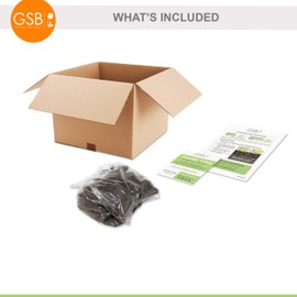 Garden State Bulb Cora Louise Itoh Peony Flower Bulbs, Bare Root, Spring Planting (Bag of 1)