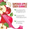 EILIN YHT Apple Cider Vinegar Gummies ACV 1000MG Vitamin B6
