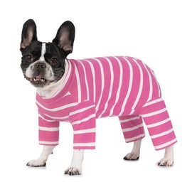 AITOLI Traje De Recuperación De Cirugía Para Perros Macho/Hembra, Camiseta Para Perros Posoperatorios, Mono Para Perros Posoperatorios, Ropa Quirúrgica Alternativa Con Collar Isabelino Y Cono, Mono Có
