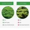 LUCKY PLANT Moss Terrarium Beding Live Moss Terrarium Moss Composite