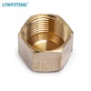 LTWFITTING 1/2-Inch Brass Compression Cap Stop Valve Cap,Brass Compression Fitting(Pack