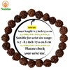 Naisha Rudraksha Bracelet Elastic 5 Mukhi Chakra Stretch Wrist Bracelet