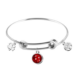cotigo Women's Birthstone Bracelet Stainless Steel Bracelet Lucky Charm and Protective Jewellery Birthday Gifts for Women, stainless steel