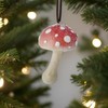 Frosty Mushroom Resin Ornament Set