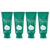Senka Perfect Whip Low pH Calming Cica Cleansing Foam, 100g, 4 pieces / 센카 퍼펙트 휩 로우 pH 카밍 시카 클렌징 폼, 100g, 4개