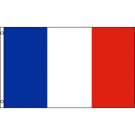 France Outdoor Nylon Flag 3x5 ft Printed Flag with Image on Both Sides and 2 Grommets (France)