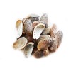 Florida Shells and Gifts 100 Small Green Abalone Shells 1