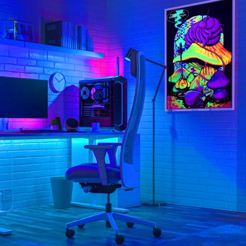 Scorpio Posters Alice in Wonderland Dreaming - Flocked Blacklight Poster