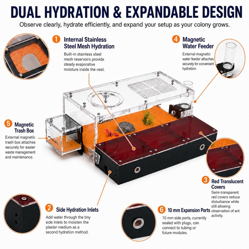 RIMSUNTA Terra Core Link - Expandable Ant Nest Formicarium with