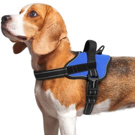 rabbitgoo Dog Harness Medium Sized, No Pull No Choke Pet Vest, Easy Wearing with One Buckle, Reflective, Adjustable Pet Harness with Molle for Walking, Training, Blue, M