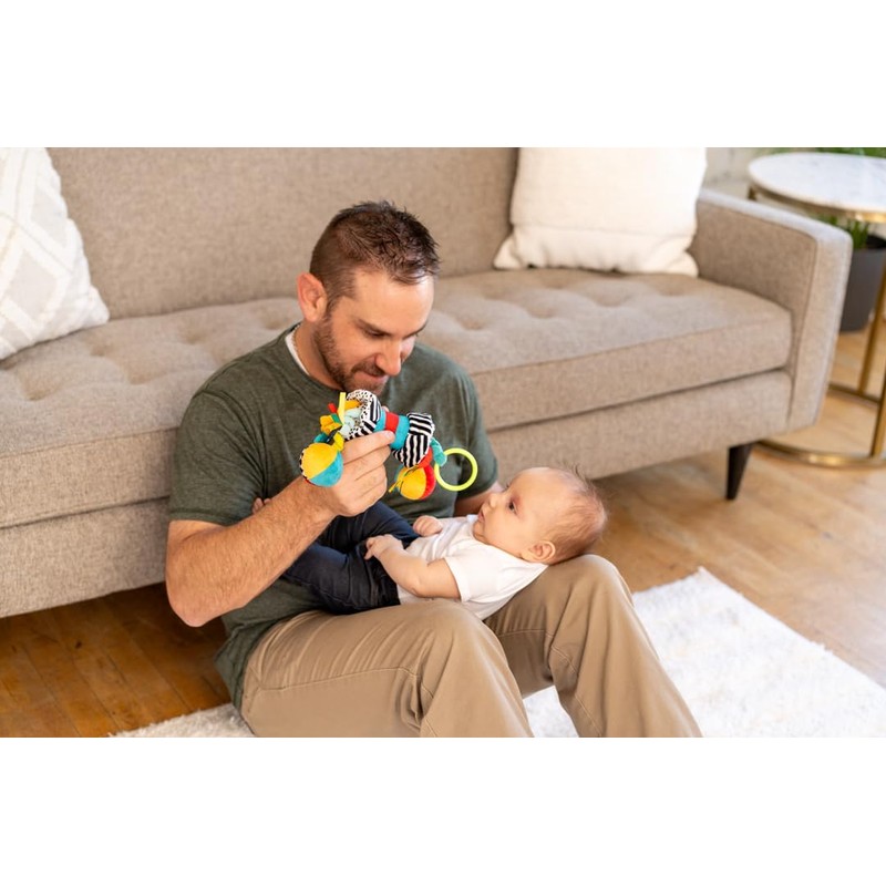 Manhattan Toy Wimmer Zaggles