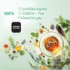 Good Nature Organic Nettle Tea, 1.058 Ounce