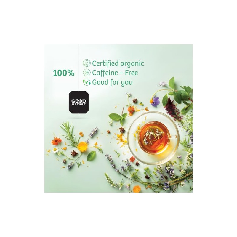 Good Nature Organic Nettle Tea, 1.058 Ounce