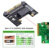 cablecc SFF-8639 U.2 Host Adapter to NVMe Ruler 1U GEN-Z
