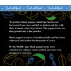 Saffron Herbs & Spices - Fine Ground Black Pepper in