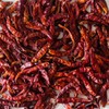 Dried Arbol Chili Pods 4 oz