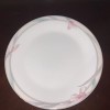 Mikasa Bone China JOY CAG06 Dinner Plate (AMOUNT AVAILABLE BELOW)