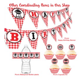 Picnic Happy Birthday Banner - BBQ Birthday Party Pennant - Red Gingham Banner