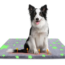 MH MYLUNE HOME Self Warming Bed Mat for Large Dog, 36"x23" Graphene & Glow-in-The-Dark Fabric Dog Crate Mat, Removable Washable Cover Anti-Slip Bottom Orthopedic Calming Pet Bed Pad for Kennel Cage