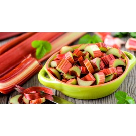 Rhubarb Seeds for Planting Pie Plant Rheum Australe About 50 Seeds