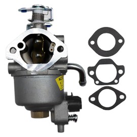 LIZAPUS Carburetor Kit Compatible with Compatible with Onan Microlite RV QG 2800 2.8KVFA26100K Generator Replacement Carb