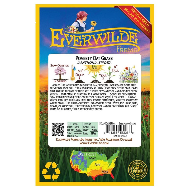 Everwilde Farms - 250 Poverty Oat Grass Native Grass Seeds