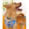 Blueberry Pet Essentials Reflective Better Basics Dog Leash, Apricot, 5