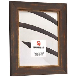 Craig Frames Aristocrat Picture Frame, 10 x 13 Inch, Gold and Copper