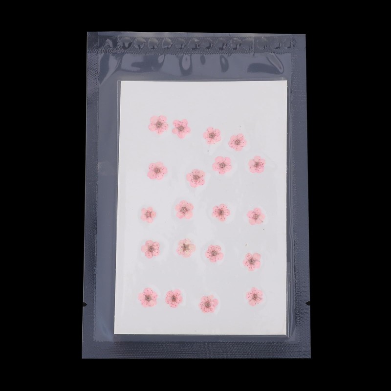 PATIKIL Dried Pressed Flower, 60 Pcs for Resin DIY Crafts