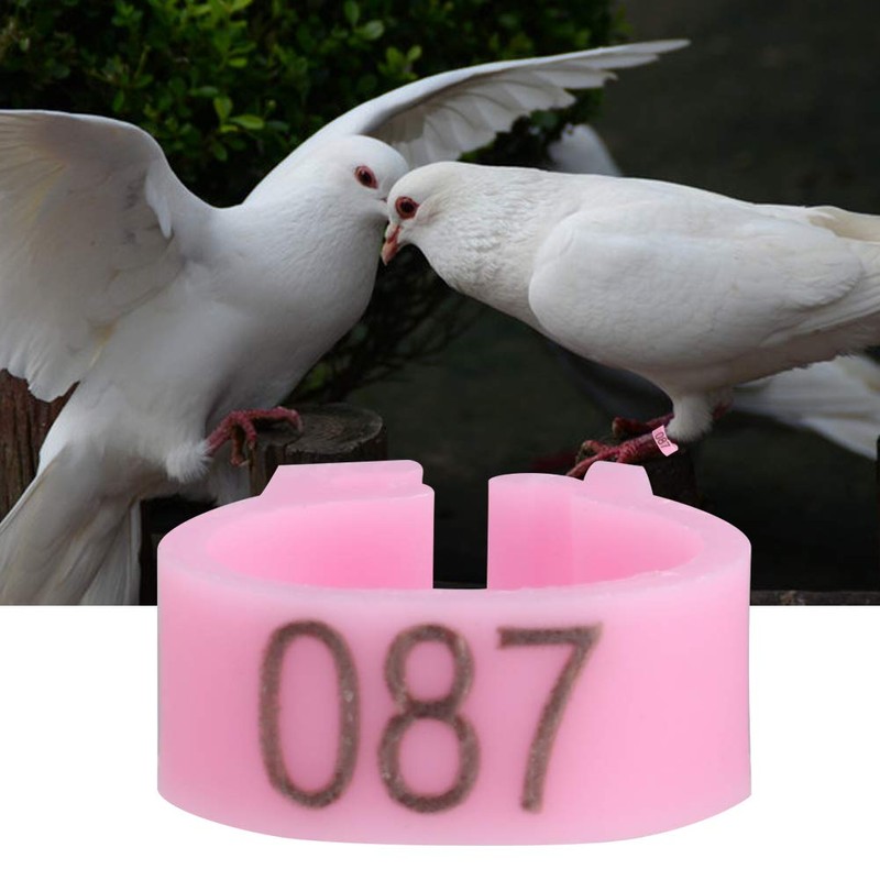 6 Colours 100 Pieces/Bag 8 mm 001-100 Numbered Plastic Bird