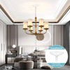 Helunsi Canopy Kit, White Canopy Light Kit, 5-3/8" Dia Canopy