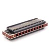 10 hole 20 Tone 008K Black Harmonica, Diatonic Blues Harmonica