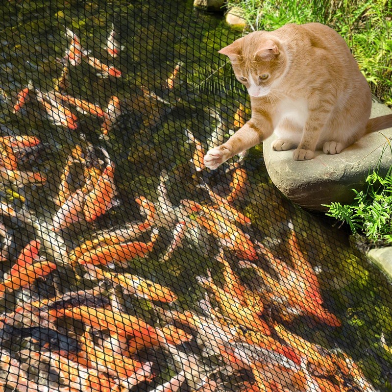 PACETAP 35 x 40 Ft Koi Pond Netting Kit, Heavy