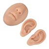 Silicone Ear Model Novice Simulated 3D Nose and Mouth Model