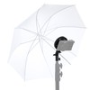COLBOR MAR Light Mount Adapter C Mount to Bowens Mount